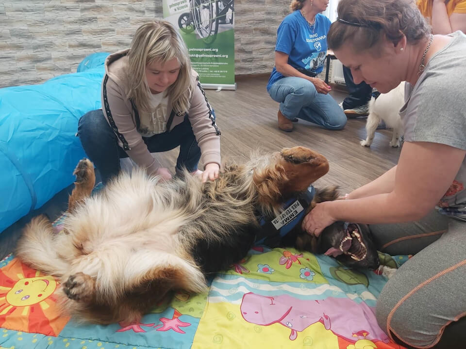 Terapia, która szczeka, czyli jak dogoterapia wpływa na uczestników Warsztatów Terapii Zajęciowej